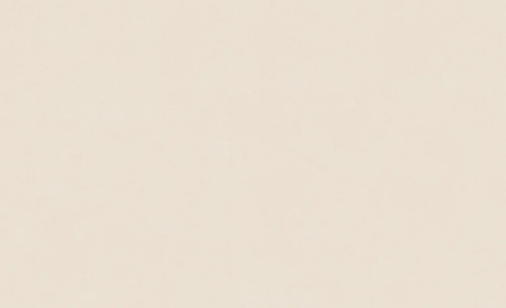 سرامیک اسلب پرسلان کاشی تبریز (MEGAKER) CN-011 سایز 280×120 - Image 2